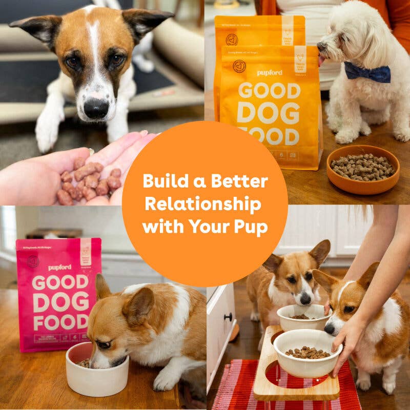 Freeze-Dried Raw Dog Food - Chicken Recipe
