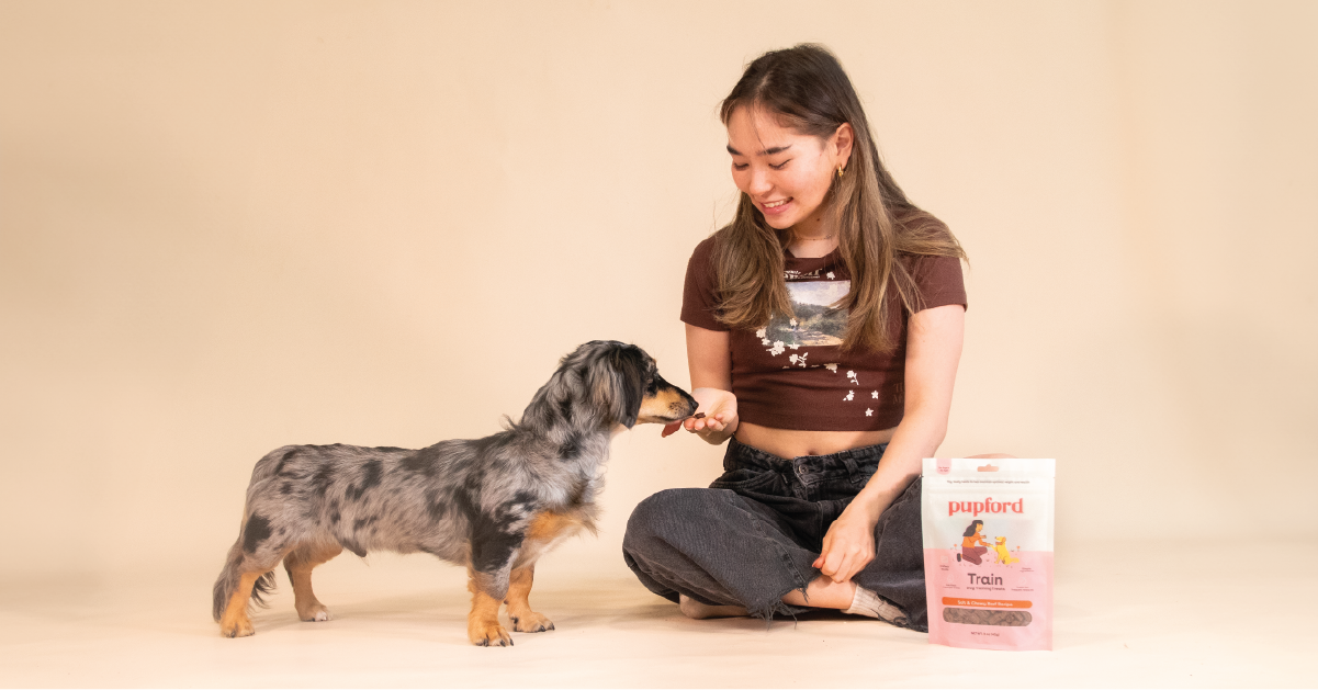 Beef Soft and Chewy Training Treat 10 oz