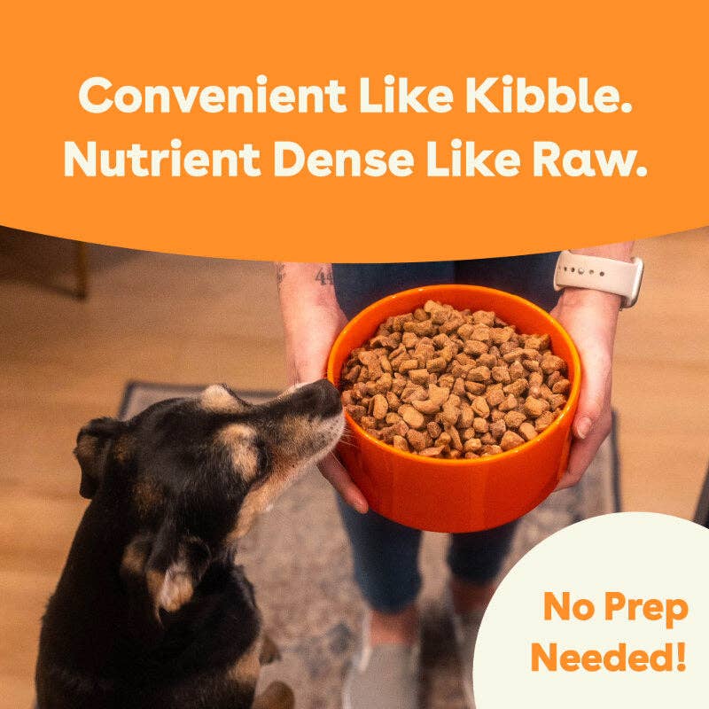 Freeze-Dried Raw Dog Food - Chicken Recipe
