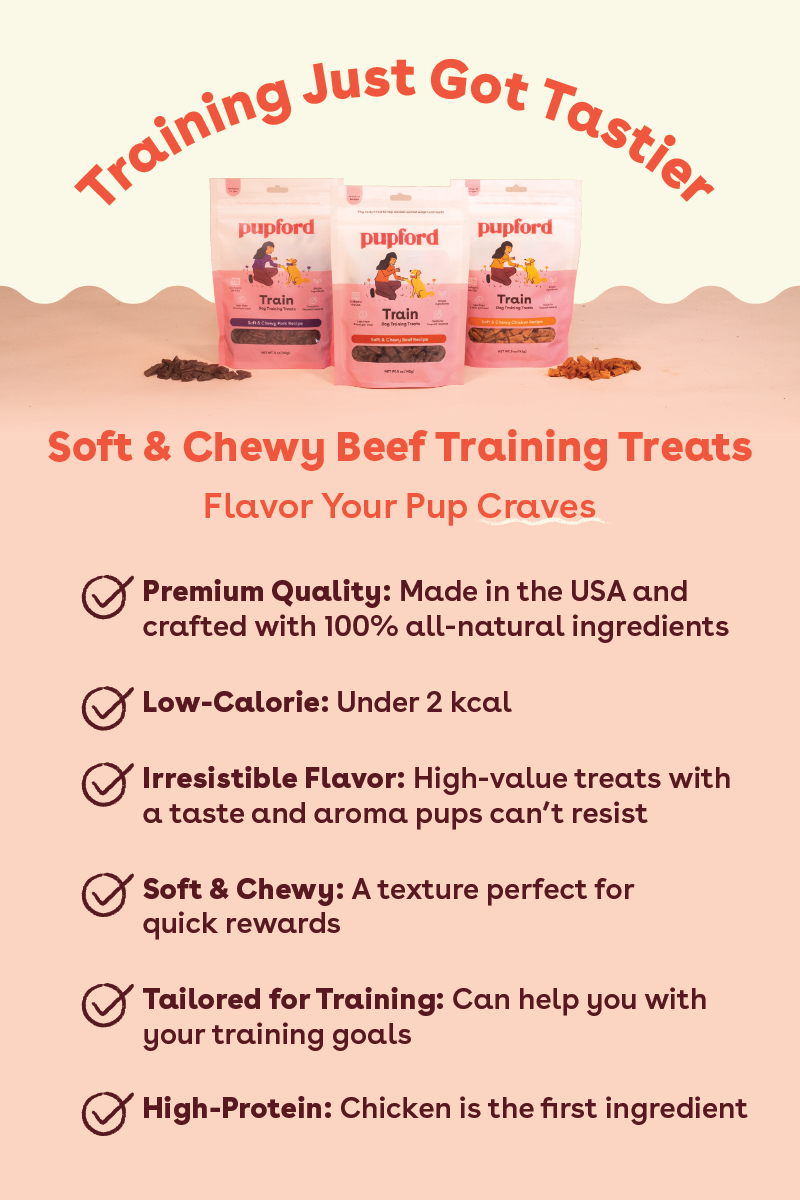 Beef Soft and Chewy Training Treat 10 oz