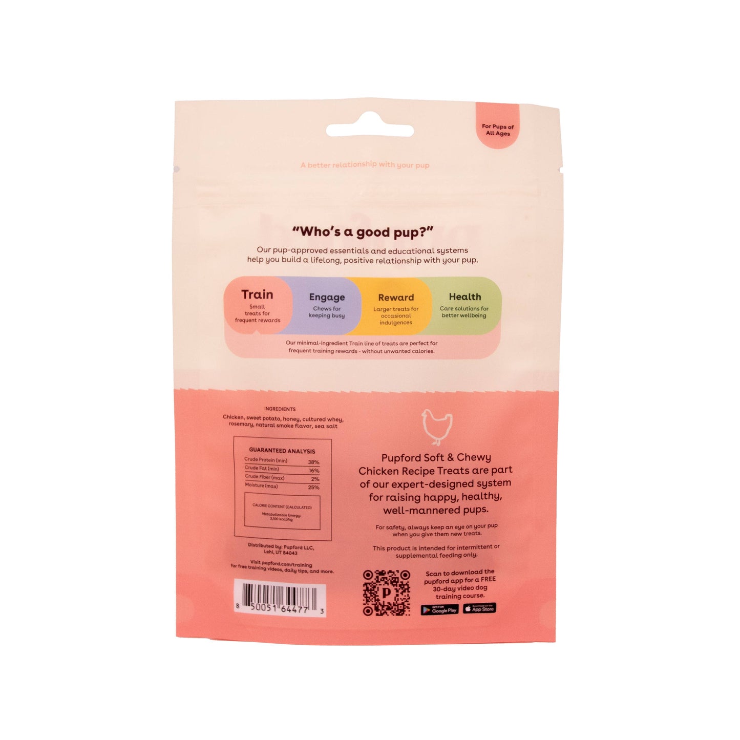 Beef Soft and Chewy Training Treat 10 oz